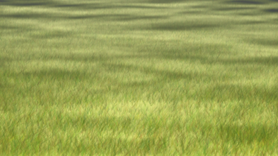 grass.png