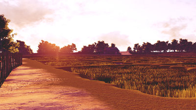 glorious_ricefield_evening.jpg