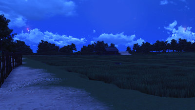 glorious_ricefield_night.jpg