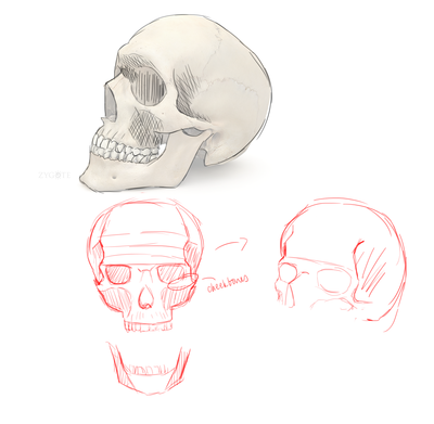 skull.png