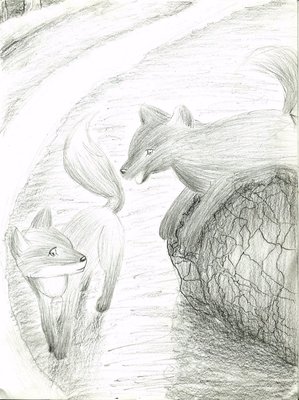 A fox and wolf....without reference....looks so wrong.