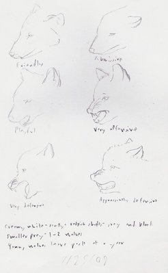 I actually had a wolf book that had these expressions, I quickly sketched them for future reference as you can see