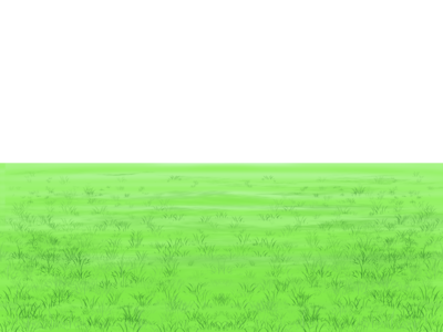 field_of_green_grass.png