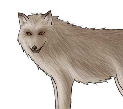 loup3.png