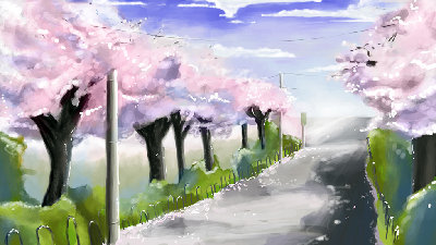 cherryblossomroad.jpg