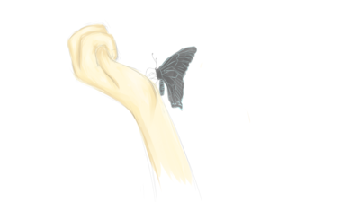 butterfly2.png