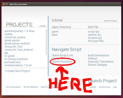 renpy_delete_persistent.jpg
