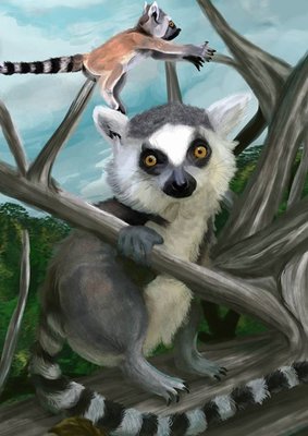 2014 something? - Give me some Lemur!! I like their stripes!