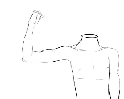 antonomy upper body.jpg