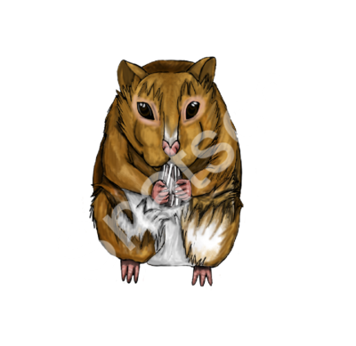 hamster.png