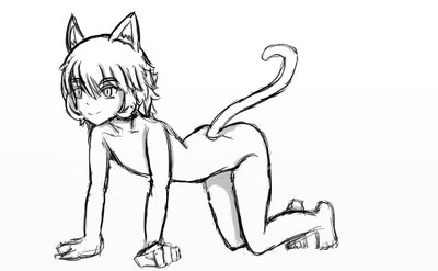 Body Anatomy Neko.jpg