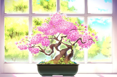 sakura bonsai2.png