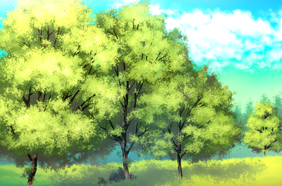 tree practice2.png