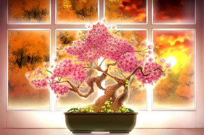 sakura bonsai sunset.png