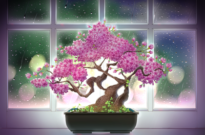 sakura bonsai night rain1.png