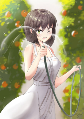 Orange Orchard.jpg