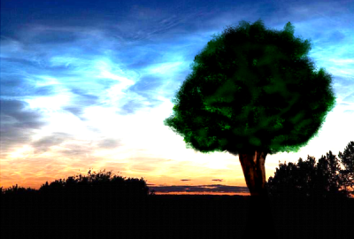 Tree at Sunset - painting.png