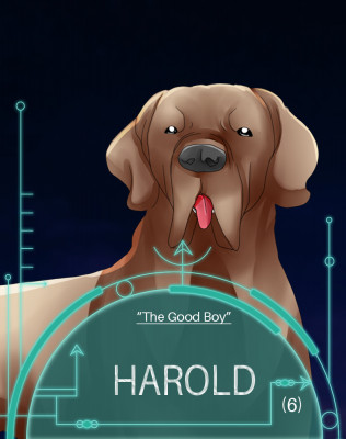 Promo Harold.jpg