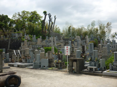 graveyard1.jpg