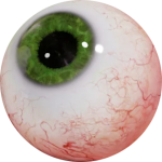 eyeball.png