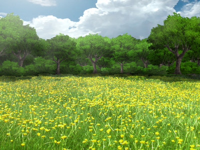 meadow.jpg