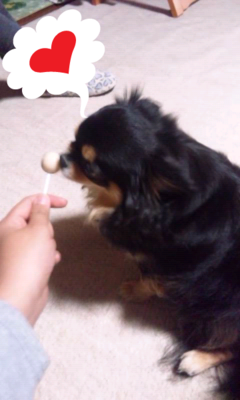 Kuu-chan licking a lollipop *edited*