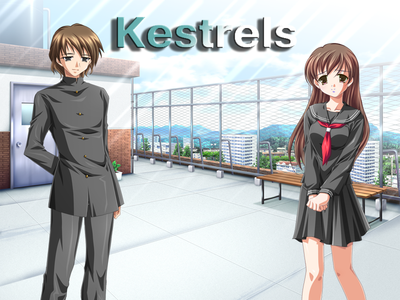 Kestrels3 copy.png